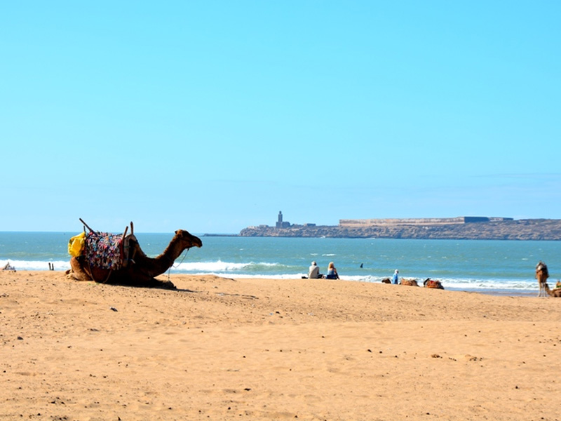 Essaouira – a linda cidade litorânea do Marrocos